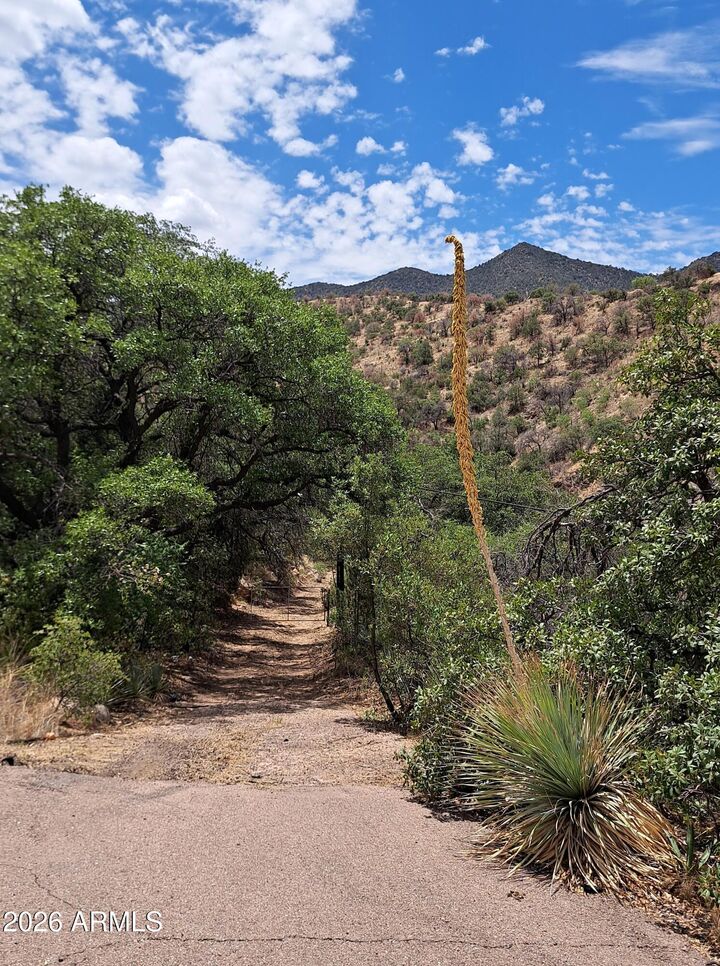 Property Photo: 3157 W Highway 80 Street AZ 85603