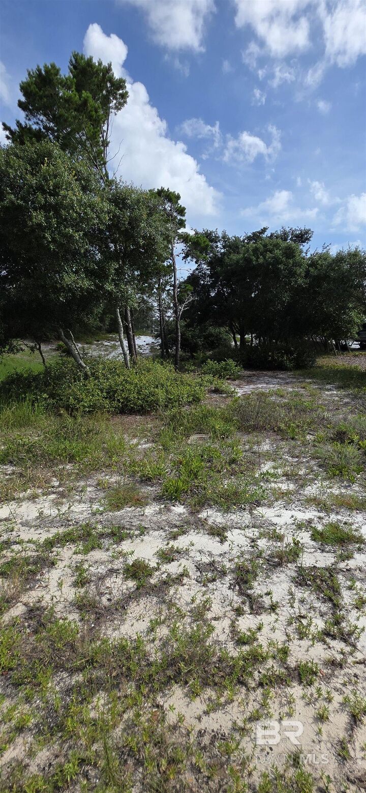 Property Photo:  Pine Run Drive  AL 36561 