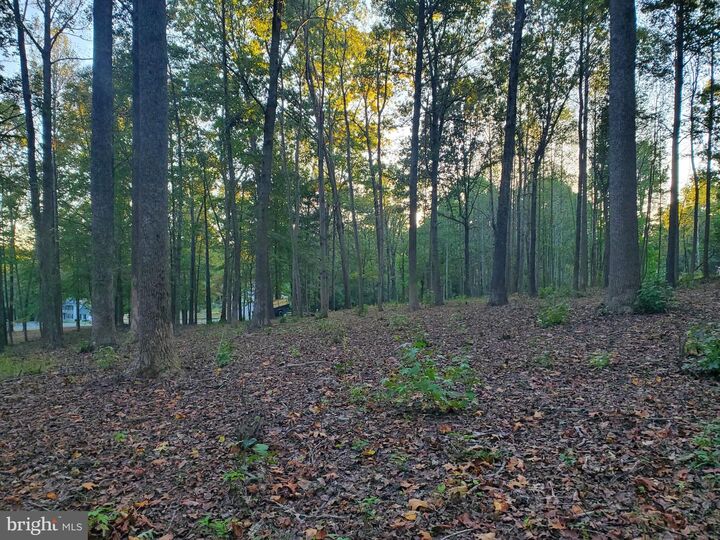 Property Photo: 50 Piper Place VA 22405