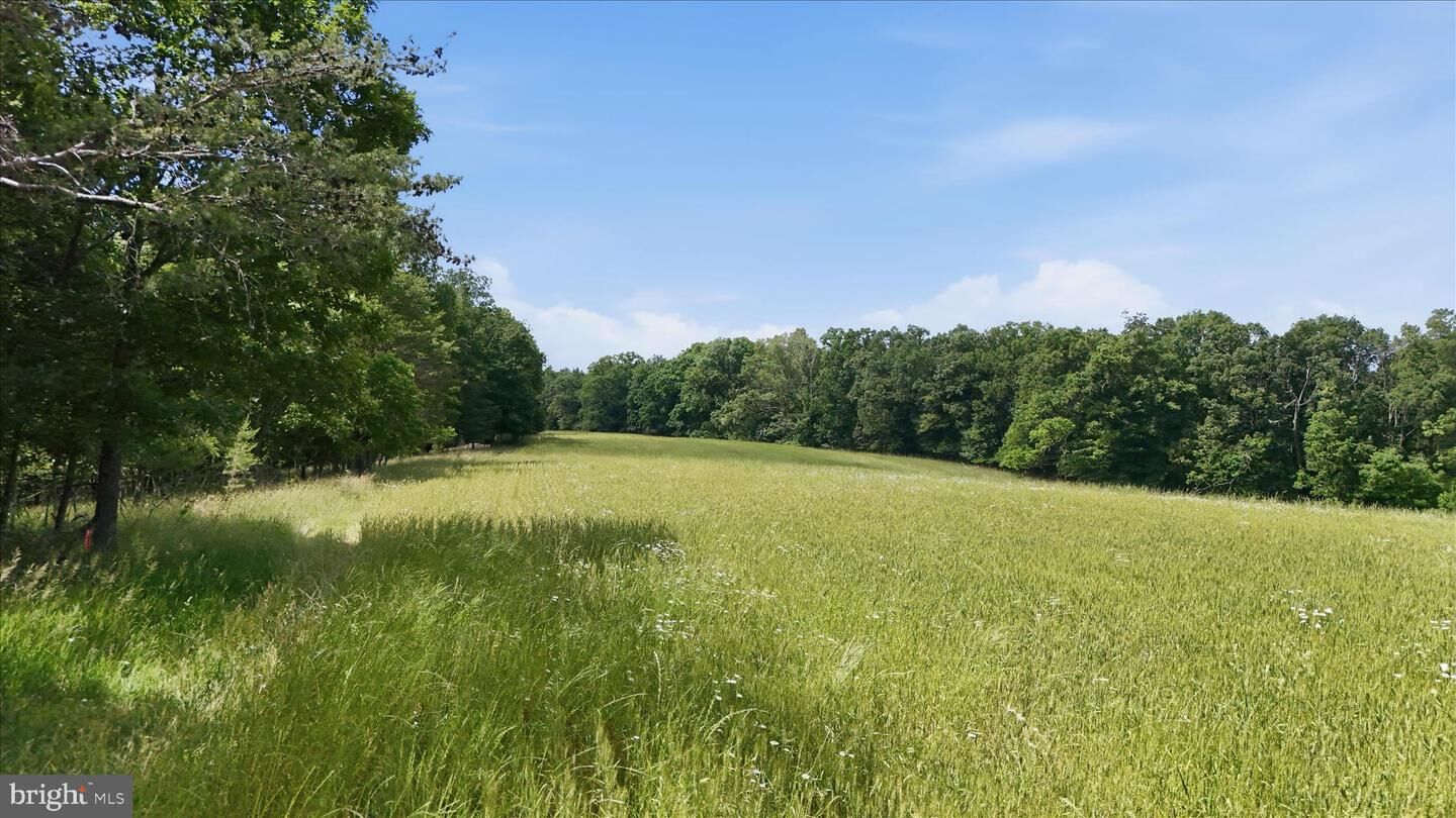 Property Photo: Posey Hollow WV 25411