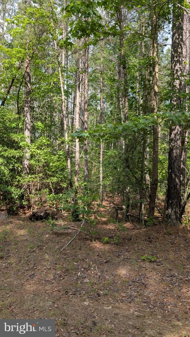 Property Photo: Lot 39 Eagle Vista Lane VA 22443