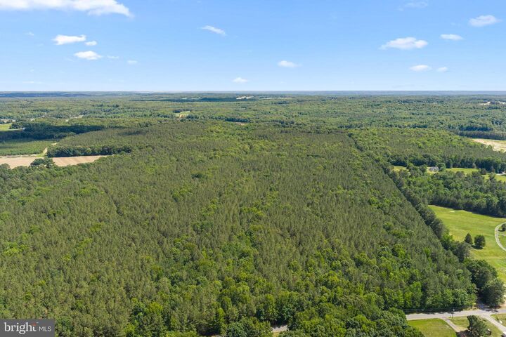 Property Photo:  Lot 39 Eagle Vista Lane  VA 22443 