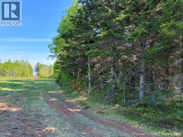 Property Photo:  305 Haut-Lameque  NB E8T 3M9 