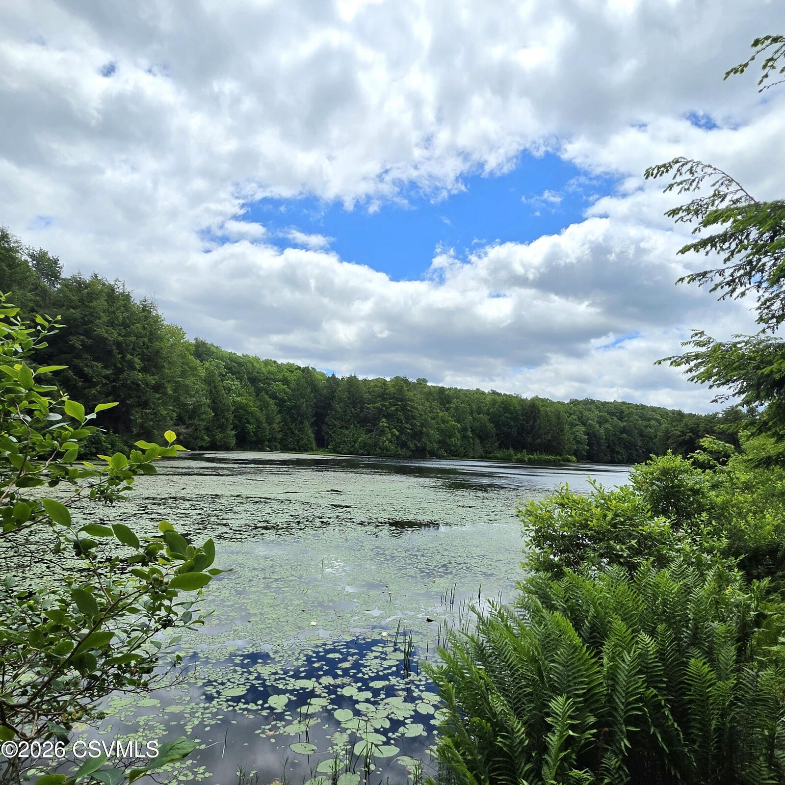 Property Photo: Lot 9 Deep Hollow Run PA 17758