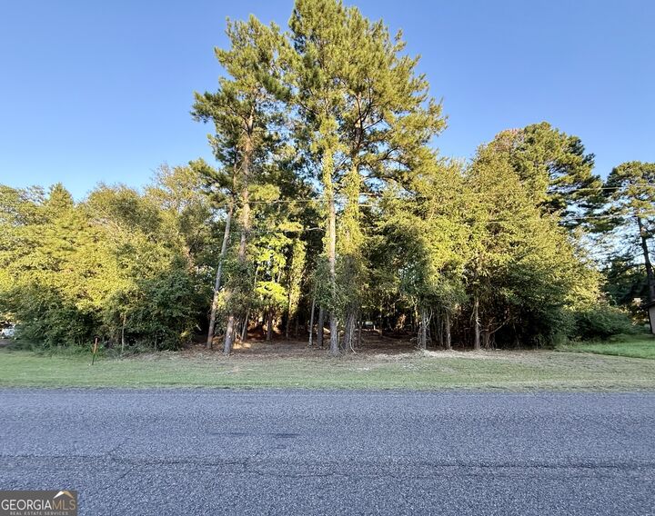 Property Photo:  0 Friendship Road  GA 30467 