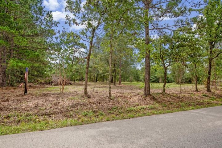 Property Photo:  Tbd Lot 3 County Road 302  TX 77363 