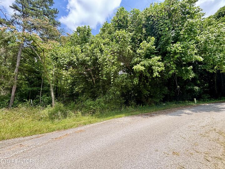 Property Photo: 0 Davis Hollow Rd TN 37748
