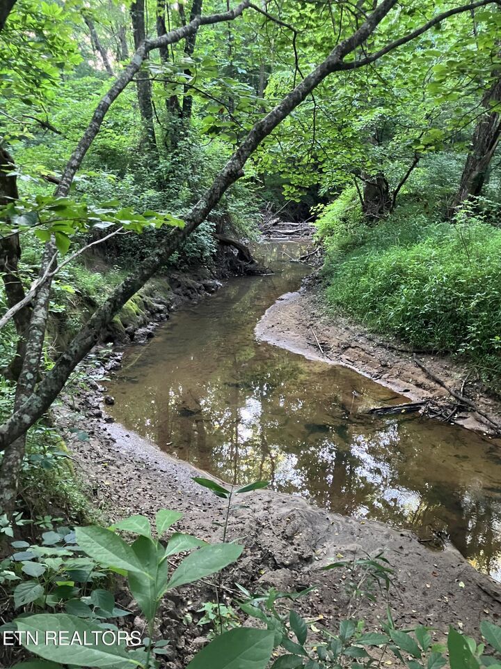 Property Photo:  Lot 10 Holly Drive  TN 37367 