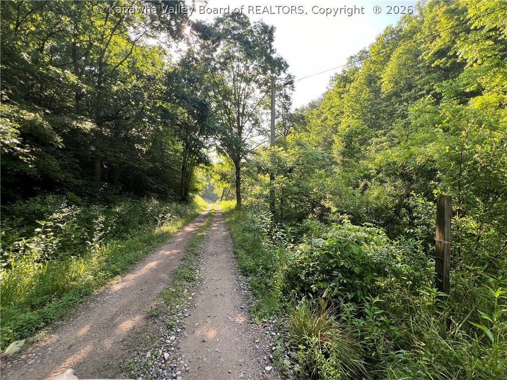 Property Photo:  0 Starchers Fork Road  WV 25276 