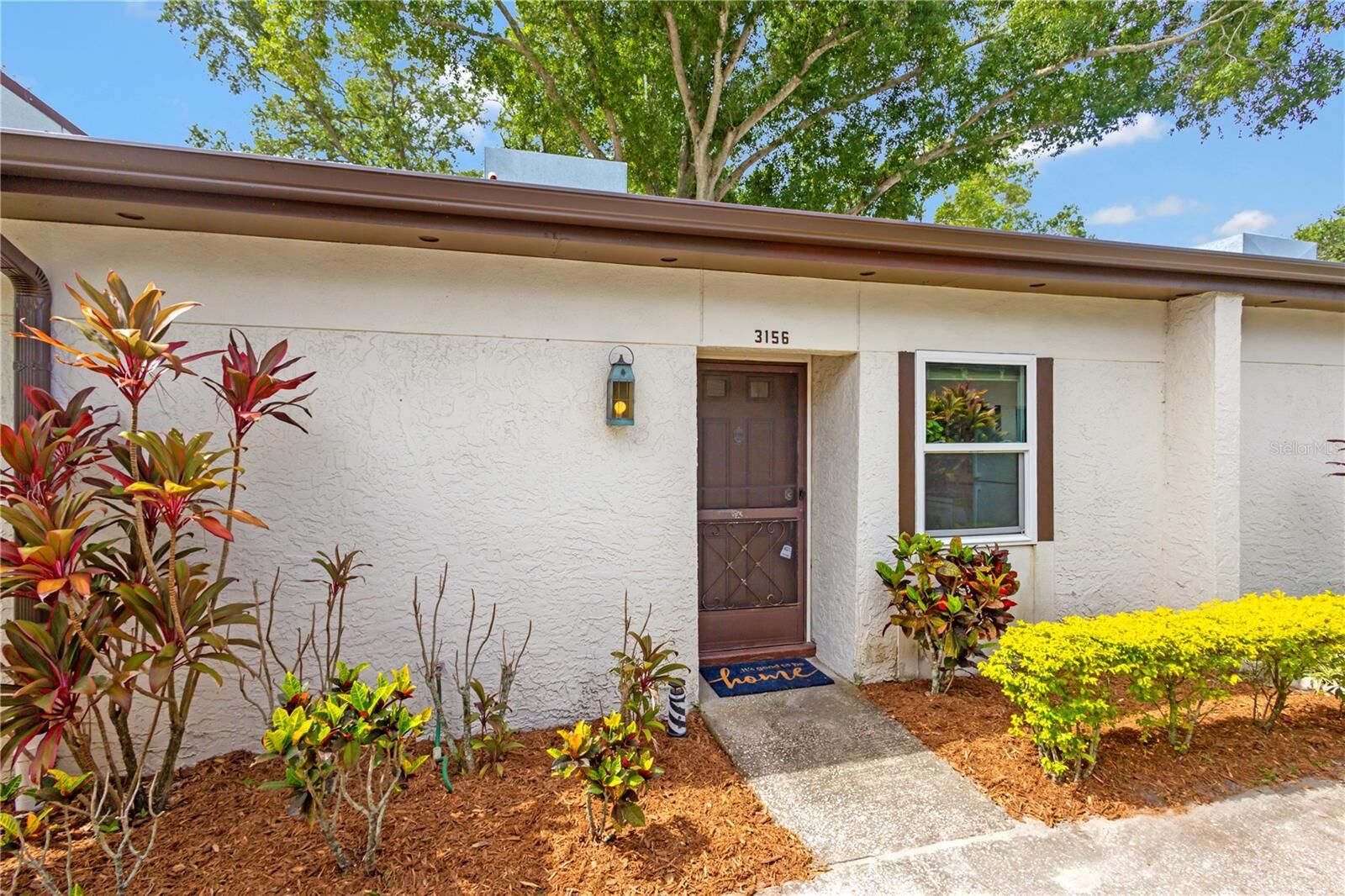 Property Photo:  3156 Highlands Boulevard A  FL 34684 