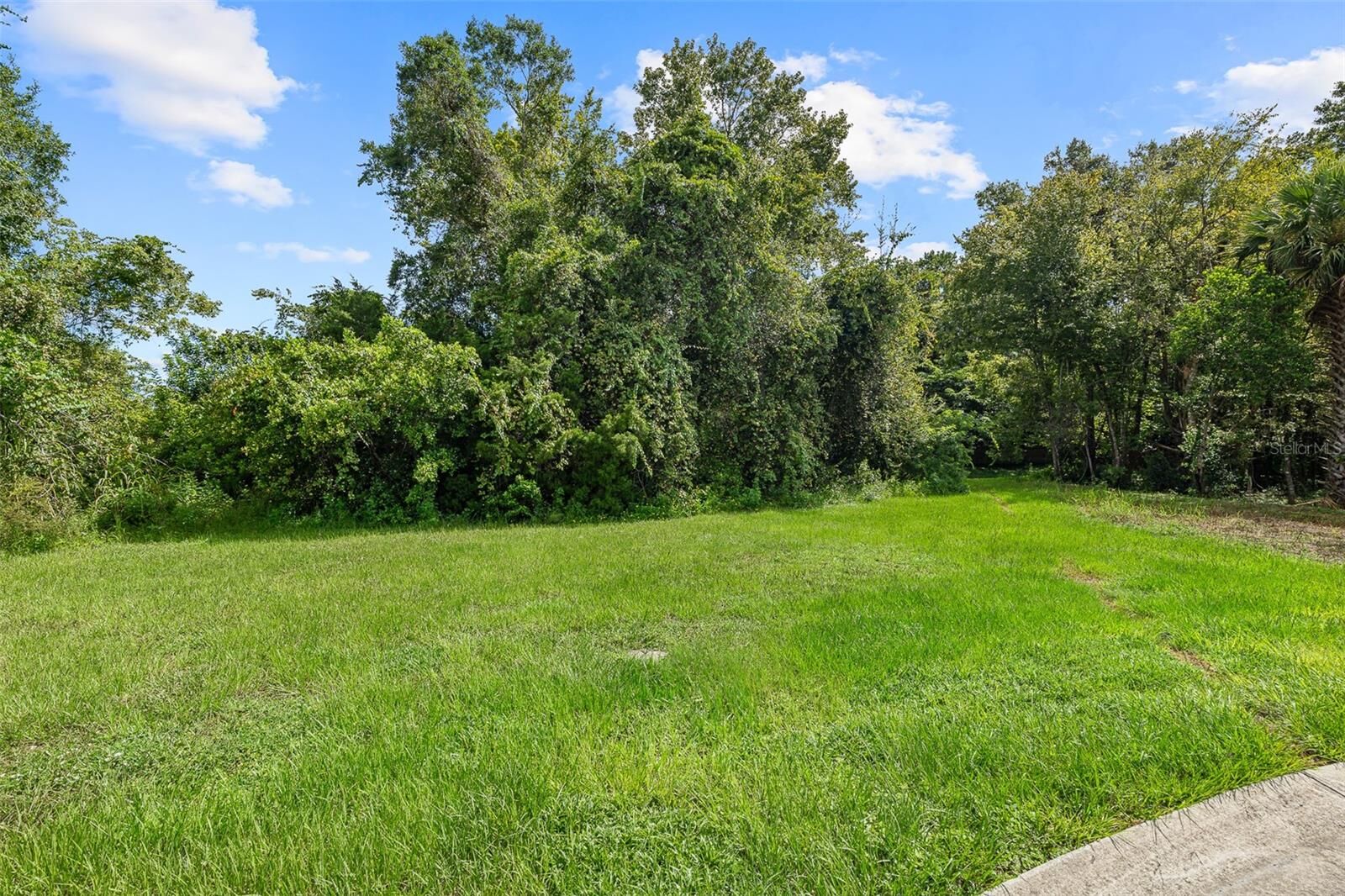 Property Photo:  1082 Yaupon Street  FL 32117 