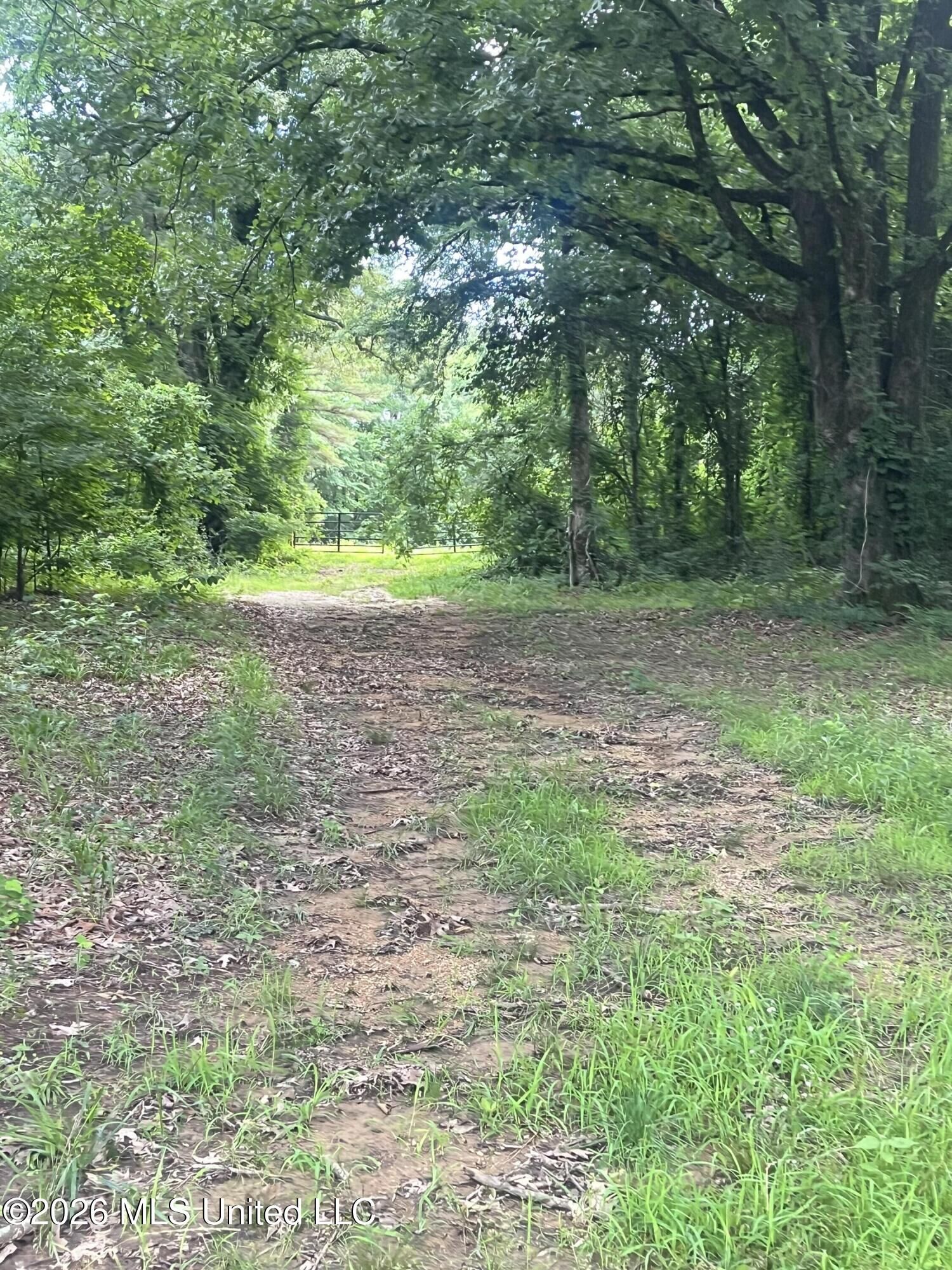 Property Photo:  Longtown Road  MS 38665 