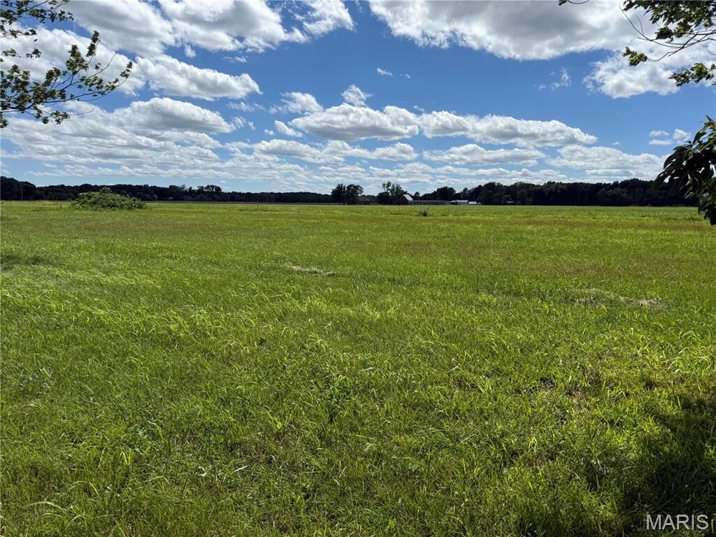 Property Photo: Tbd West Fellin Drive IL 62069