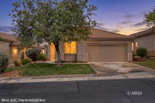 Property Photo:  471 Canyon Way  NV 89027 