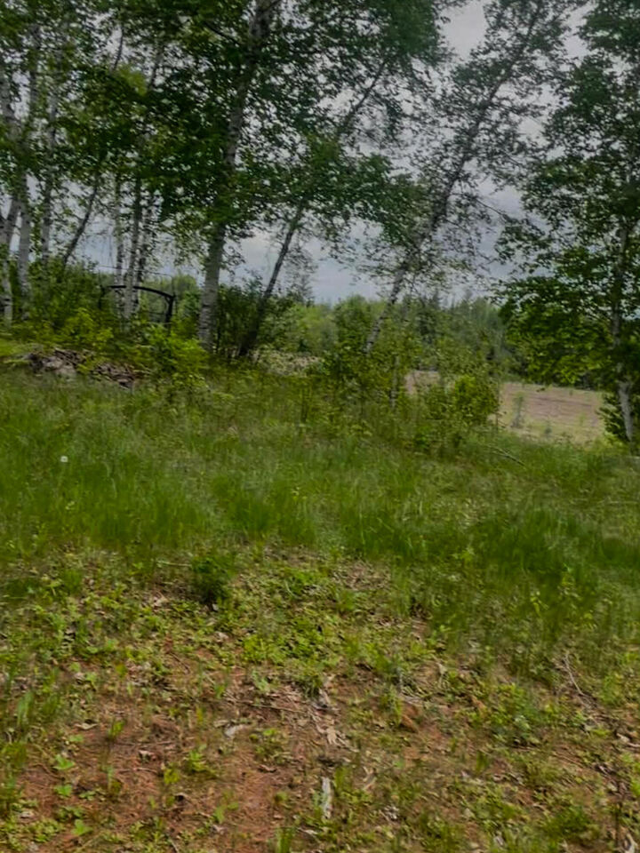 Property Photo:  4422 Bennoch Road  ME 04468 