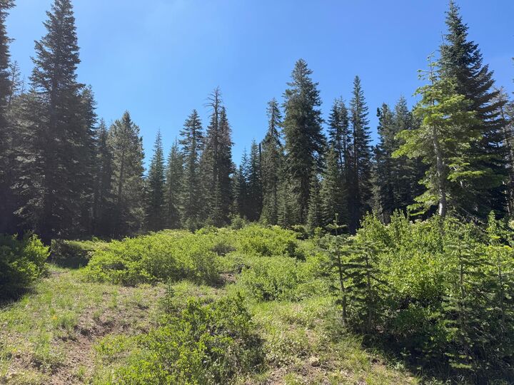 Property Photo: 18 Blue Rock Trail CA 95223