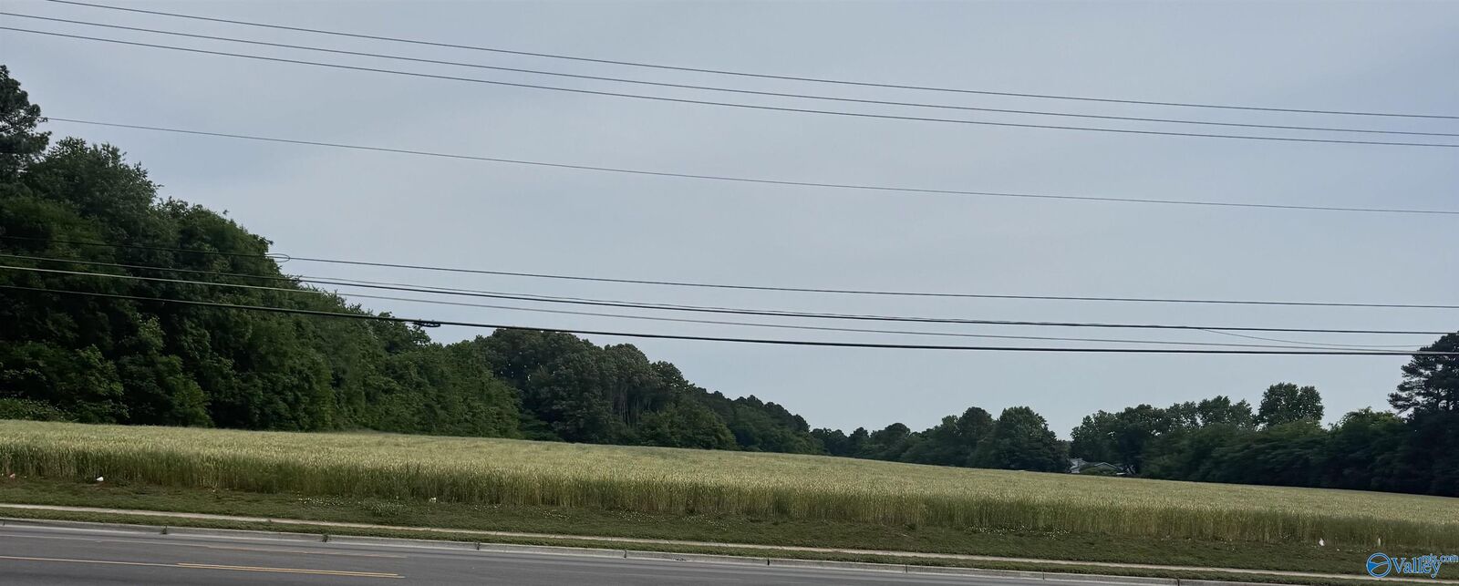 Property Photo:  21 Acres Mastin Lake Road NW  AL 35810 