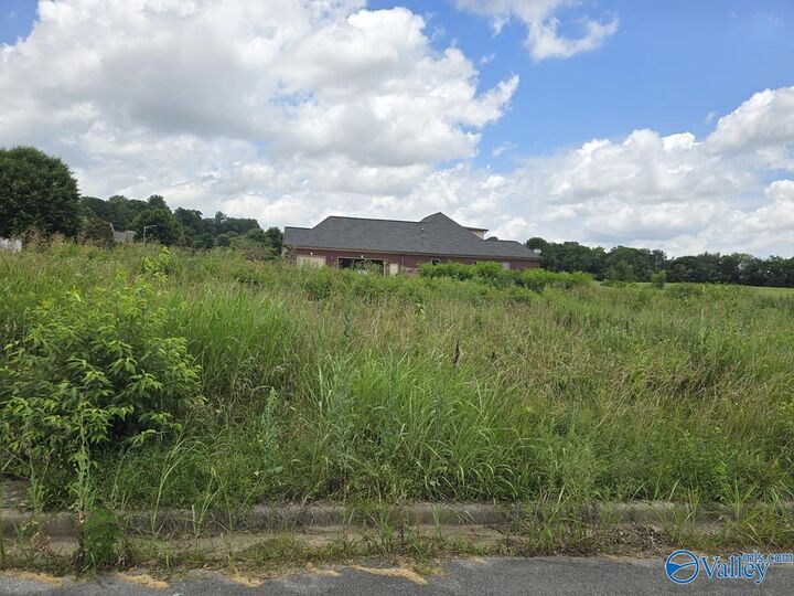 Property Photo:  Lot 24 Brigadoon Drive  AL 35757 