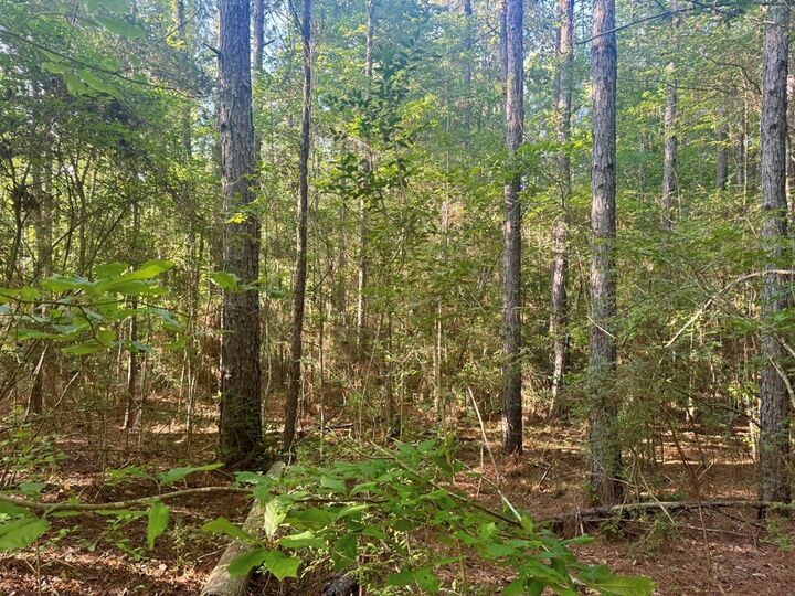 Property Photo: Pid# 15463 Co Rd 1039 TX 75932