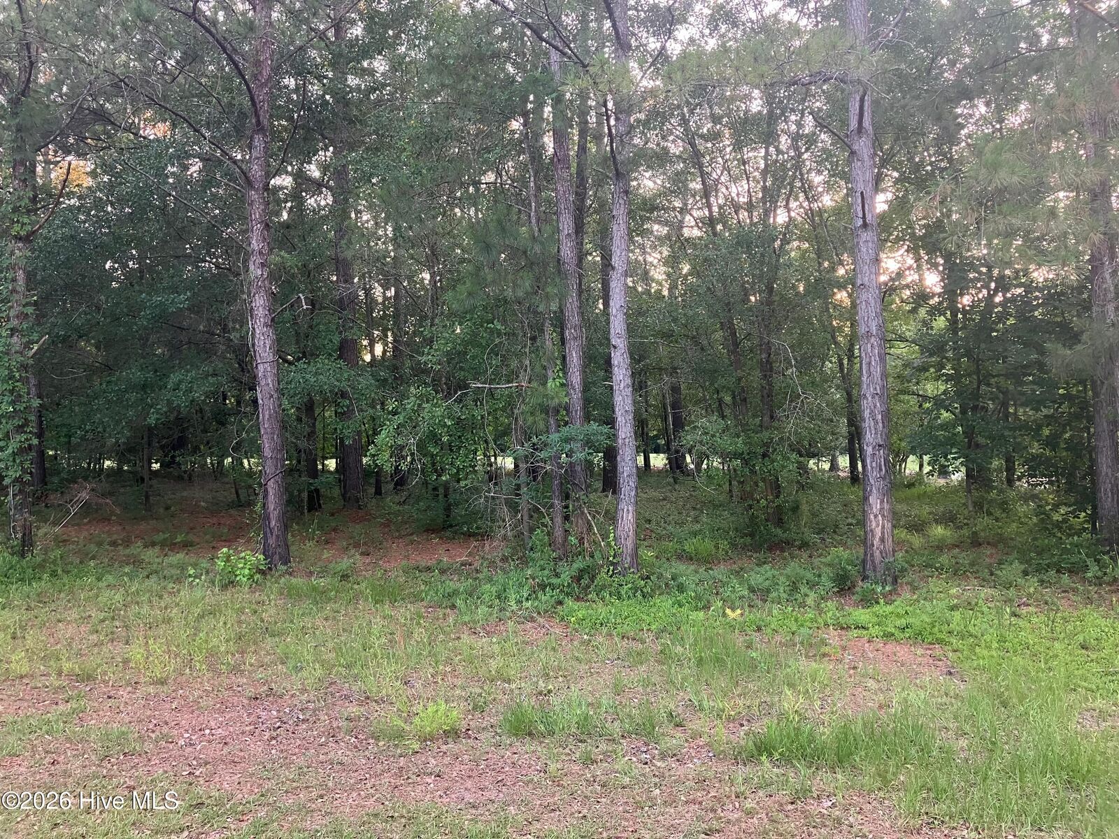 Property Photo: 112 Rs56 Riverstone Run Drive NC 28466