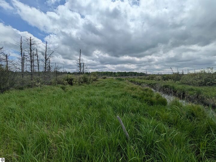 Property Photo:  M-48  MI 49774 