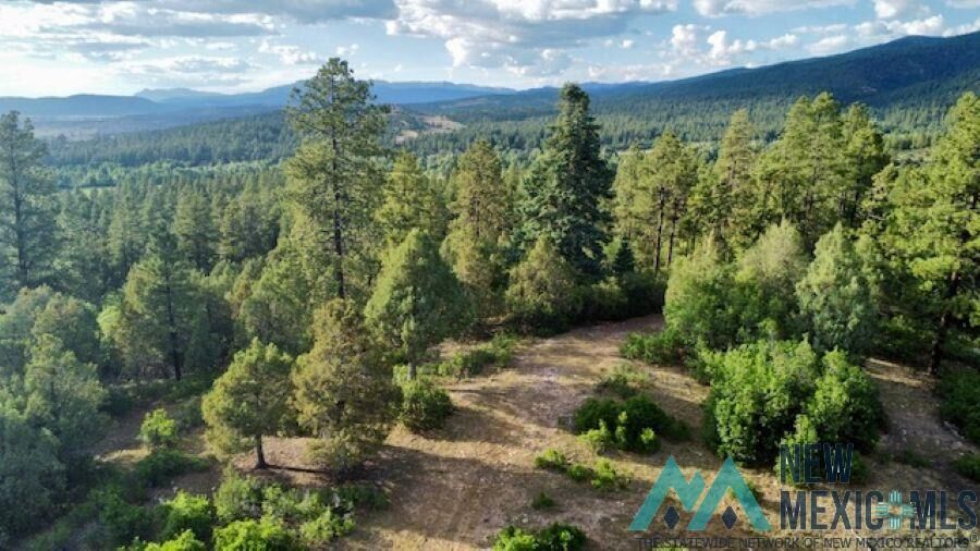 Property Photo:  Tbd Log Ridge Trail Trail  NM 87520 