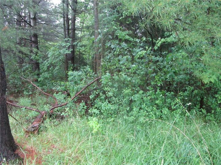 Property Photo:  Vl Callender Road  OH 44085 