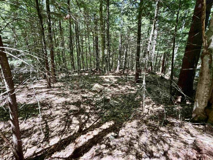 Property Photo: Mountain View Drive NH 03223