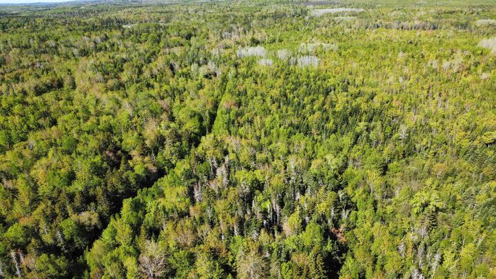 Property Photo:  Lot Highway 12 Highway  NS B4N 3V8 