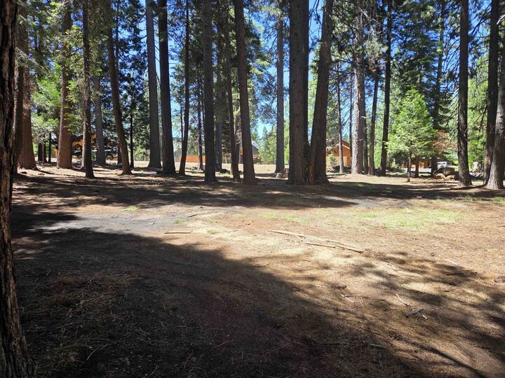 Property Photo: 307 Raccoon Trail CA 96020