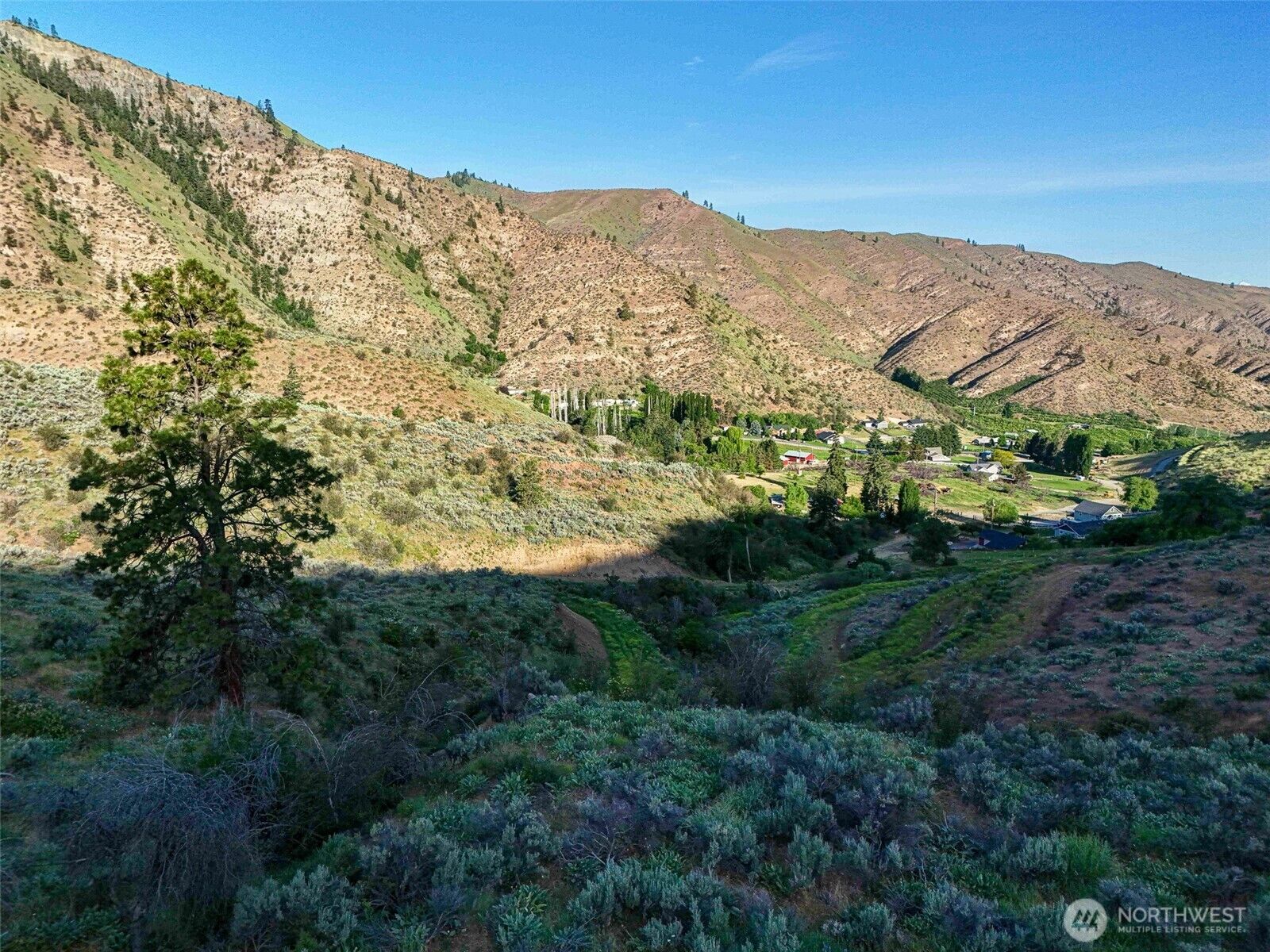 Property Photo: 0 Juniper Lane WA 98836
