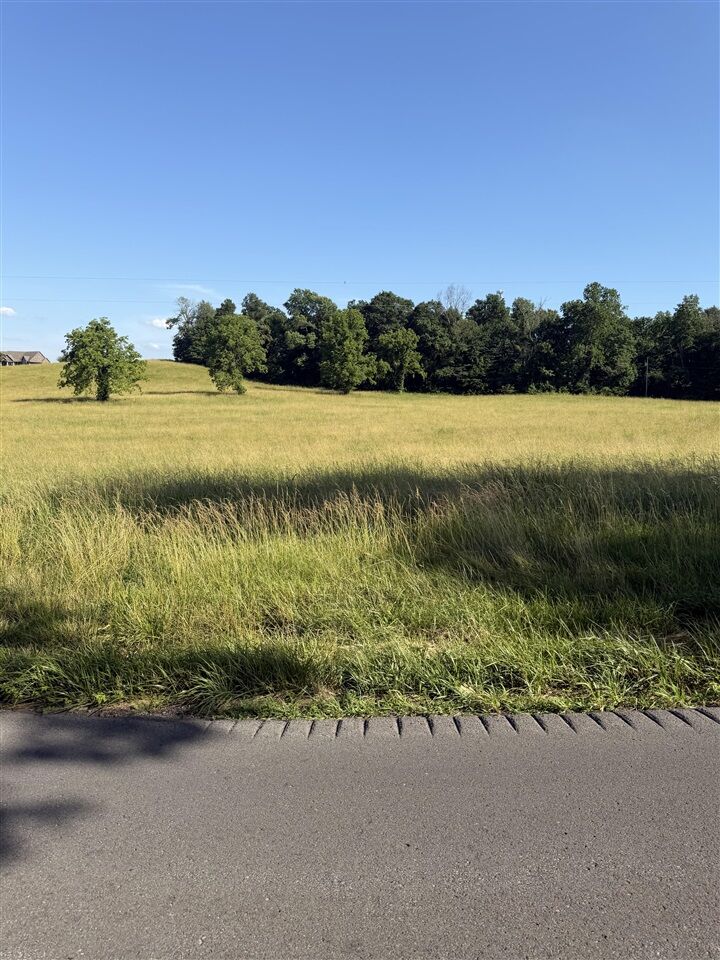 Property Photo:  Lots 7 &Amp 8 Meador Port Oliver Road  KY 42164 