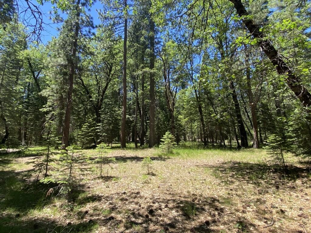 Property Photo: 3-E-29 Red Fir Rd CA 96057