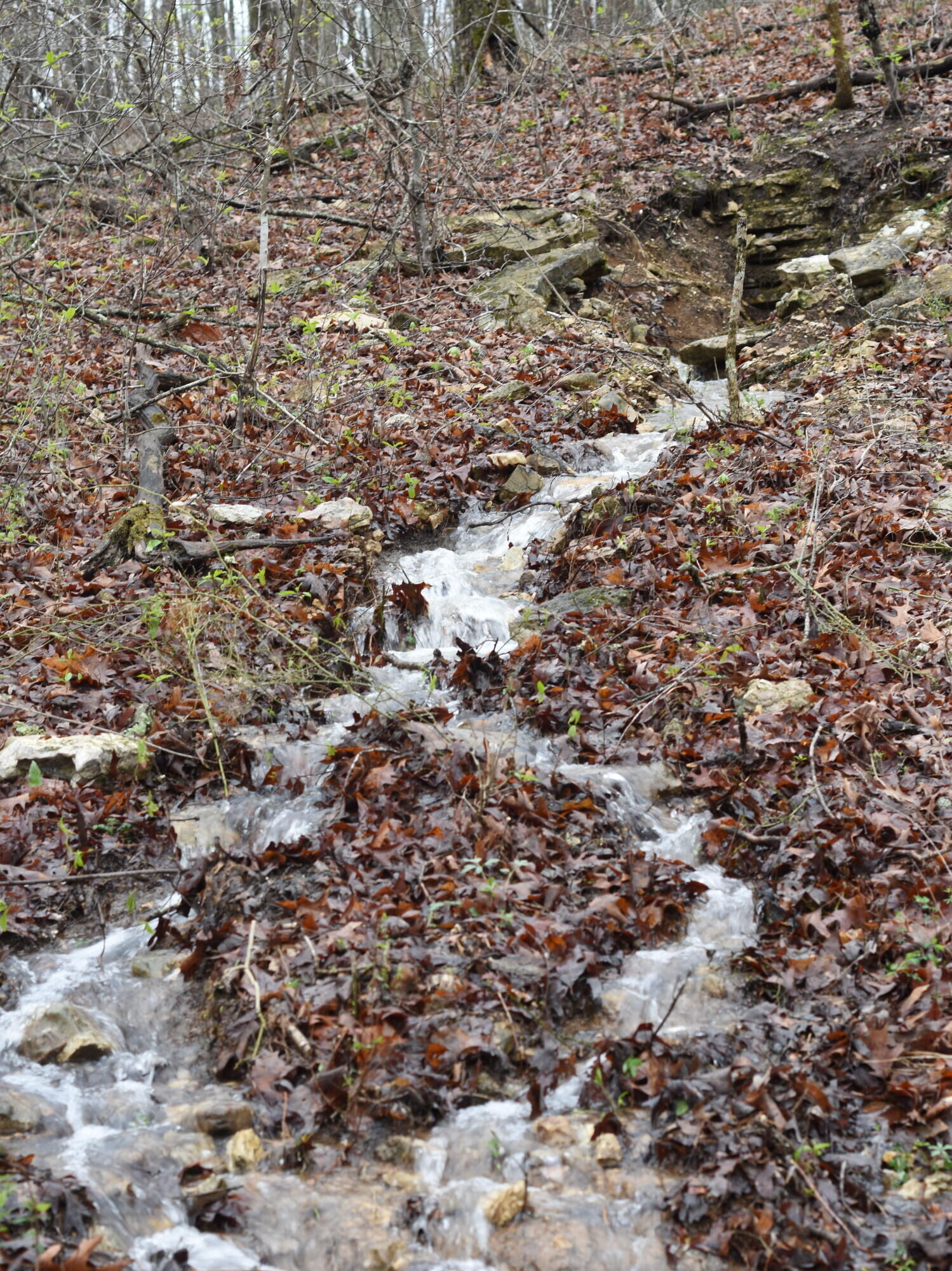 Property Photo: 000 Highway Y MO 65464