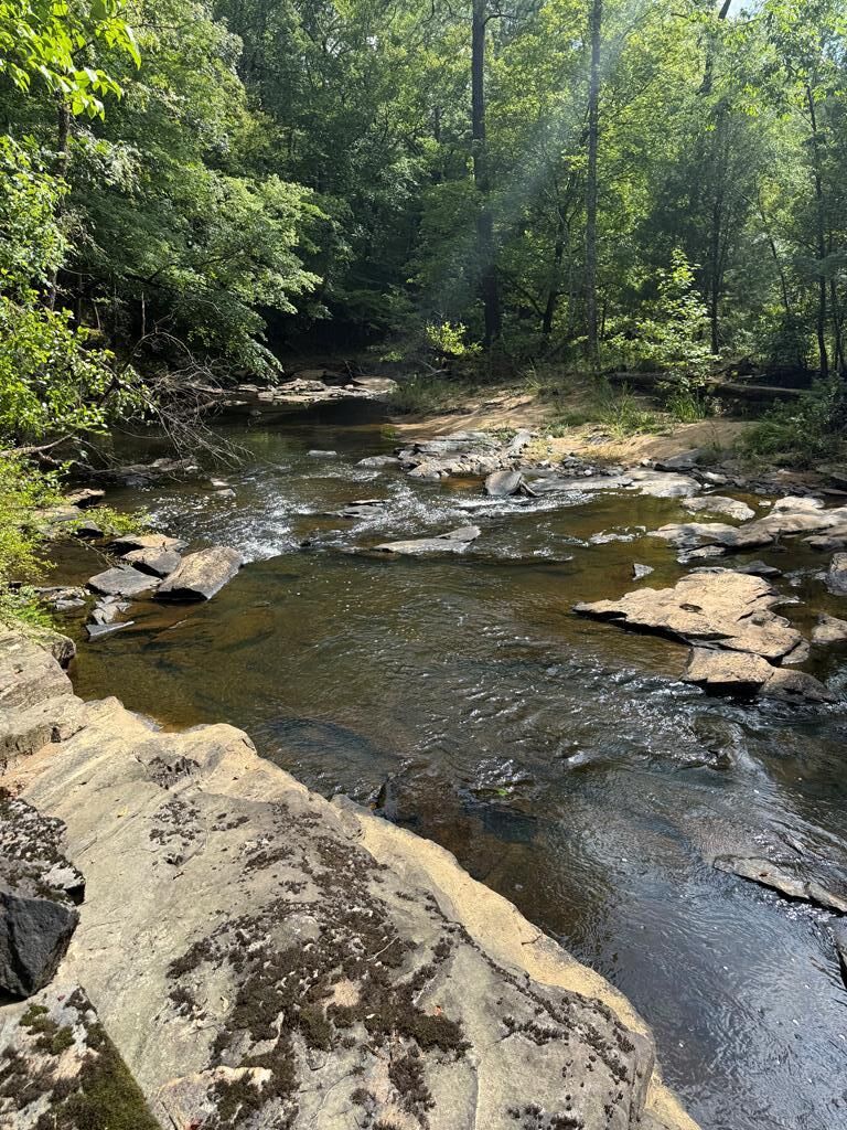Property Photo:  555 Mountain Brook Road  GA 31808 