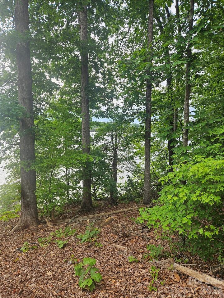 Property Photo:  Lot 105 Edgewater Drive 105  NC 28128 