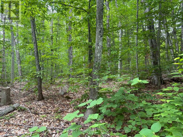 Property Photo:  1623 Madawaska Road  ON K0L 2K0 