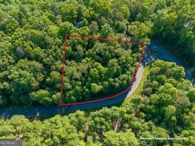 Property Photo:  Lot 52 Creek Trail  GA 30540 
