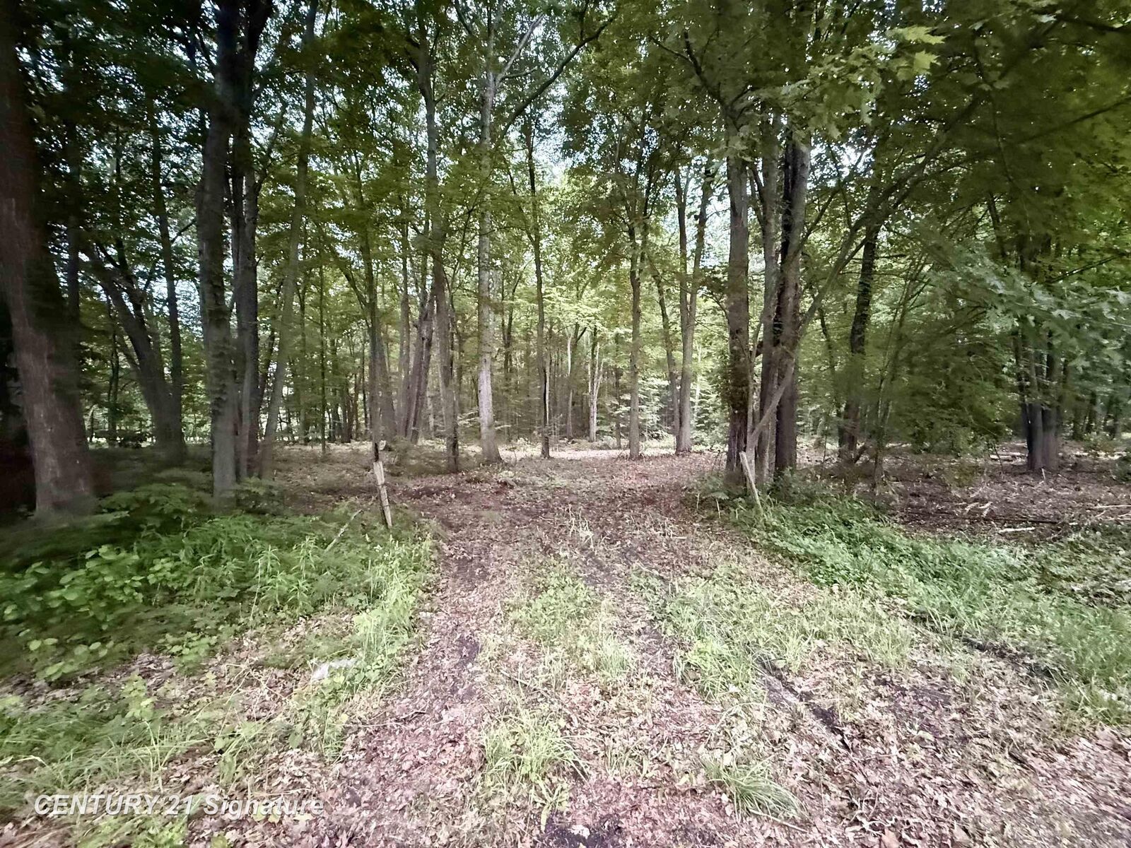 Property Photo:  0 Seymour Road  MI 48417 