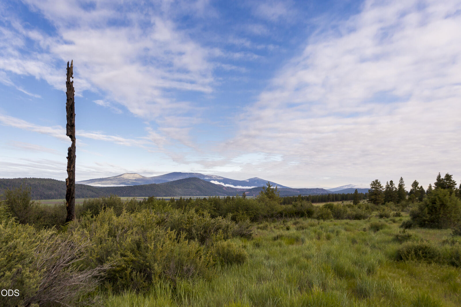 Property Photo:  827 Beattys Butte Drive  OR 97601 