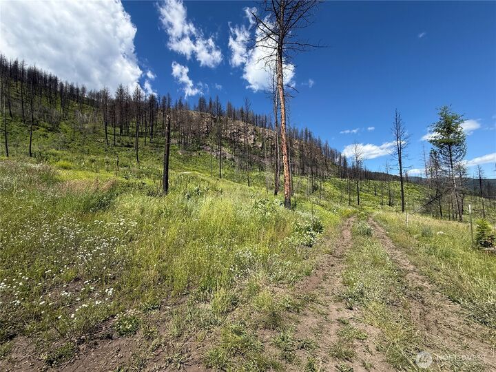 Property Photo: 367 4th Of July Creek Road WA 99121