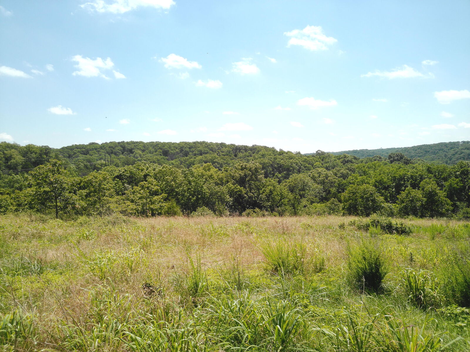 Property Photo: 1029 Bear Hollow Road MO 64856