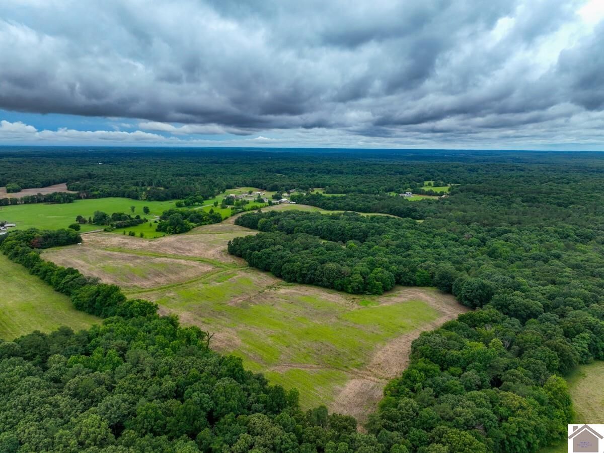 Property Photo: 000 Buffalo Road (Calloway Co. Ky 83.9518) KY 42076