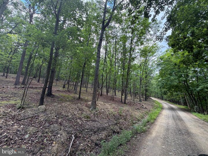 Property Photo:  00 Headsville Rd  WV 26726 