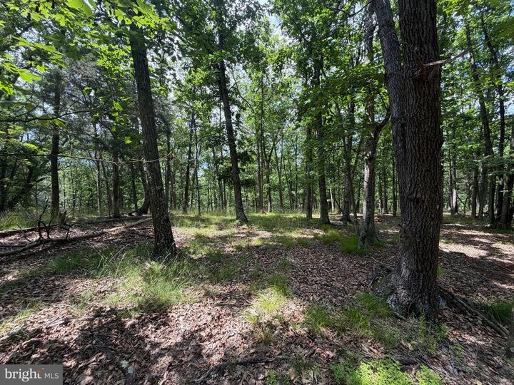Property Photo: 00 Headsville Rd WV 26726
