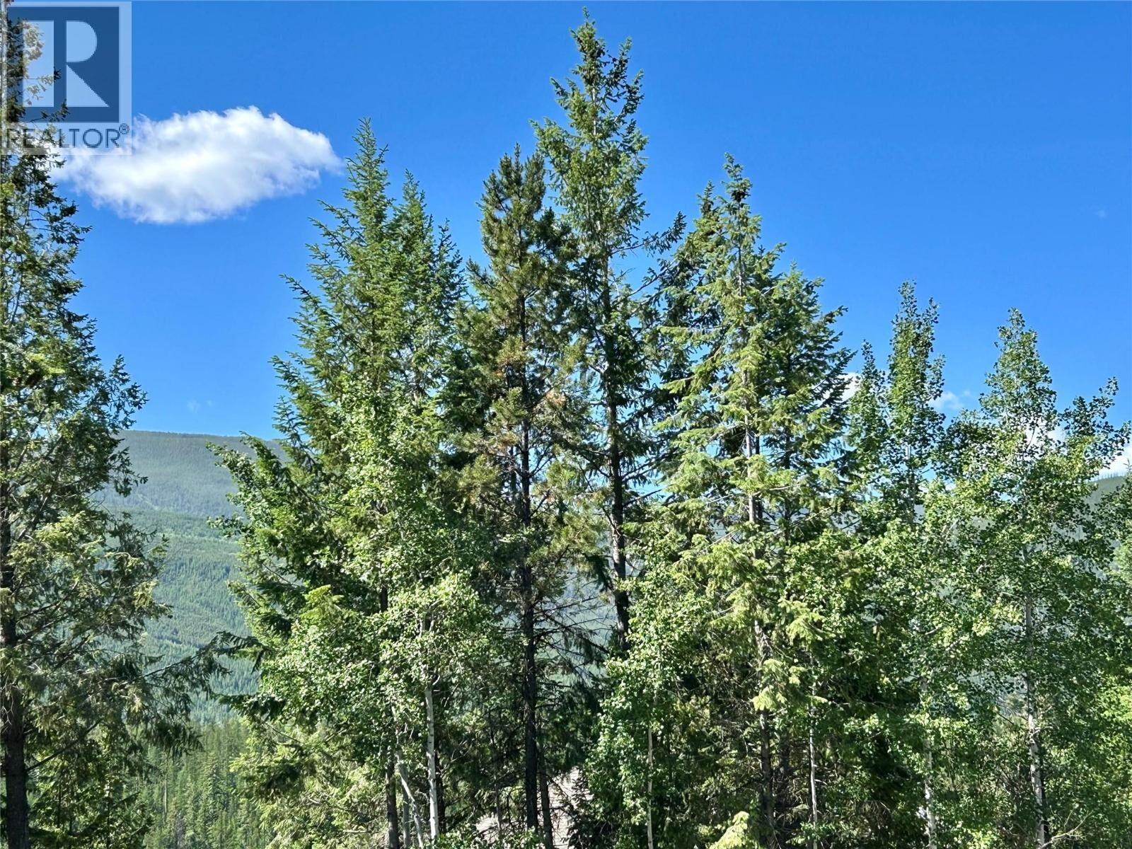Property Photo:  118 Sunflower Drive  BC V1A 0A8 