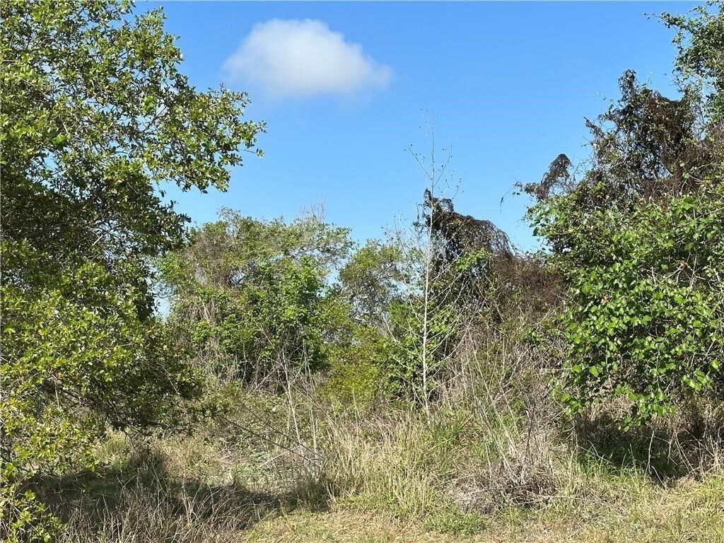Property Photo: 00 N Saunders TX 78336