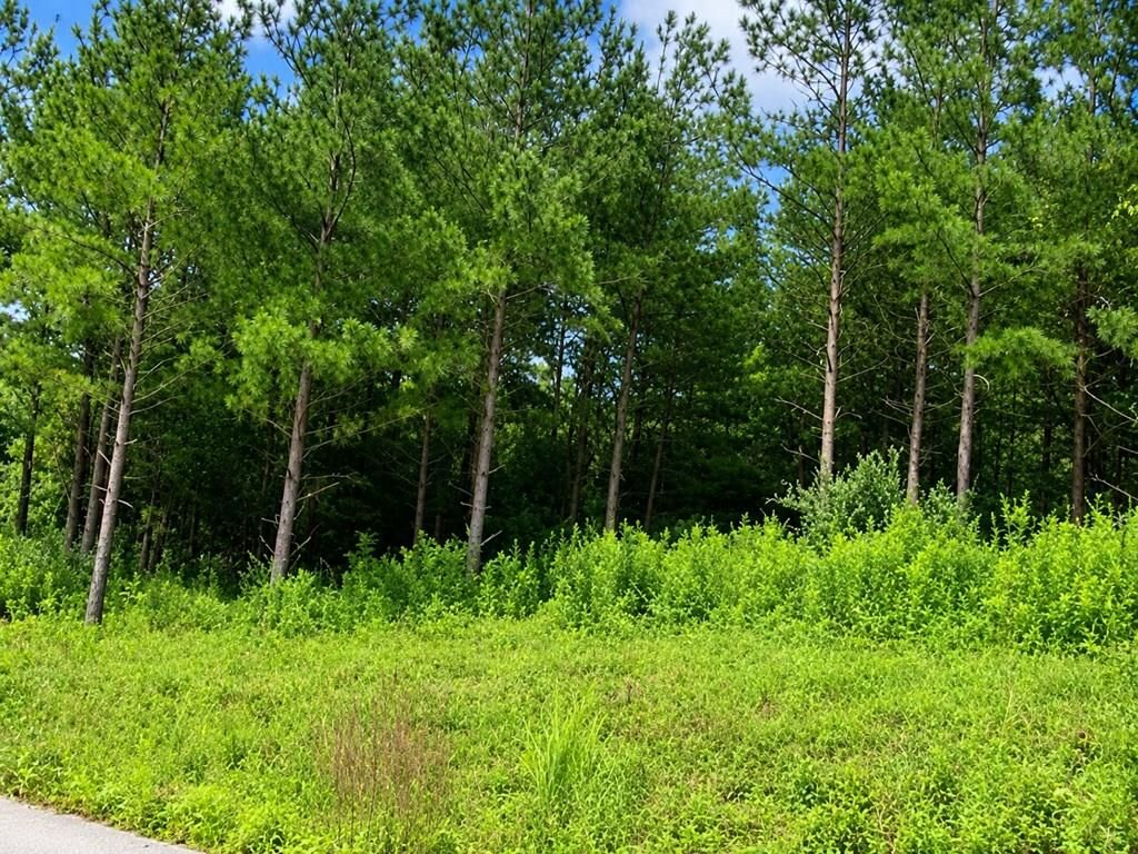Property Photo:  5 Cedar Creek Phase 7  KY 41501 