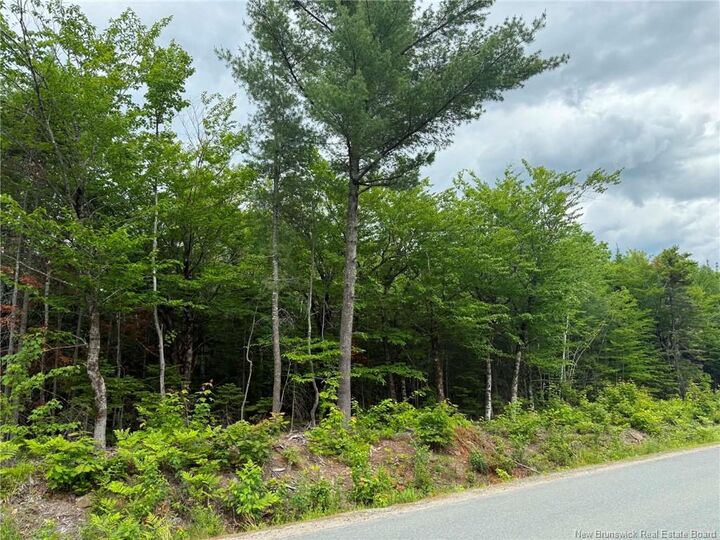 Lot 2 Hansen Road — photo 1