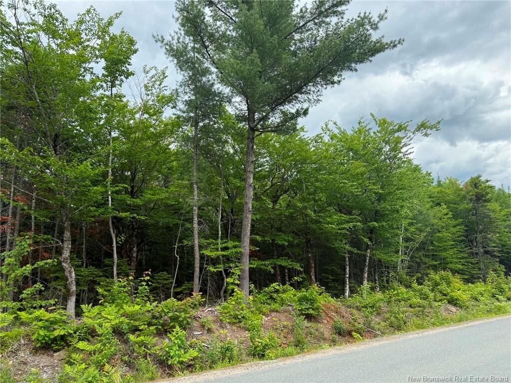 Property Photo:  Lot 2 Hansen Road  NB E1V 3M2 